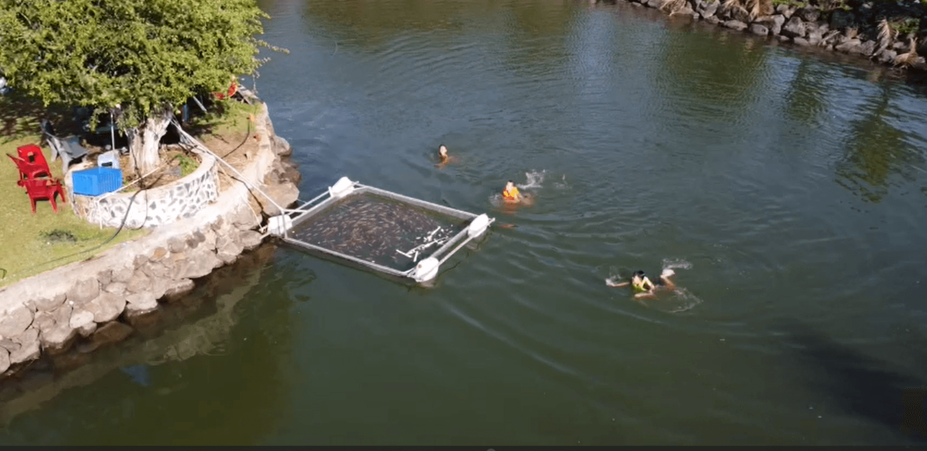 Hình ảnh thực tế An Nhiên Farm - Quy hoạch chi tiết